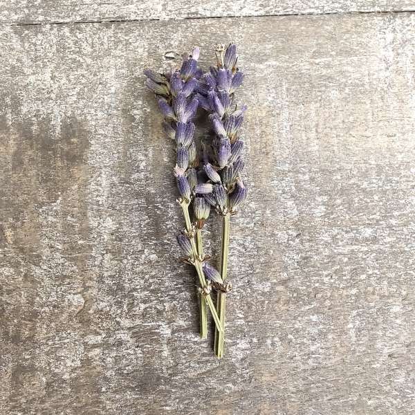 bomboniera cresima tisana